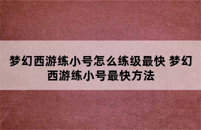 梦幻西游练小号怎么练级最快 梦幻西游练小号最快方法